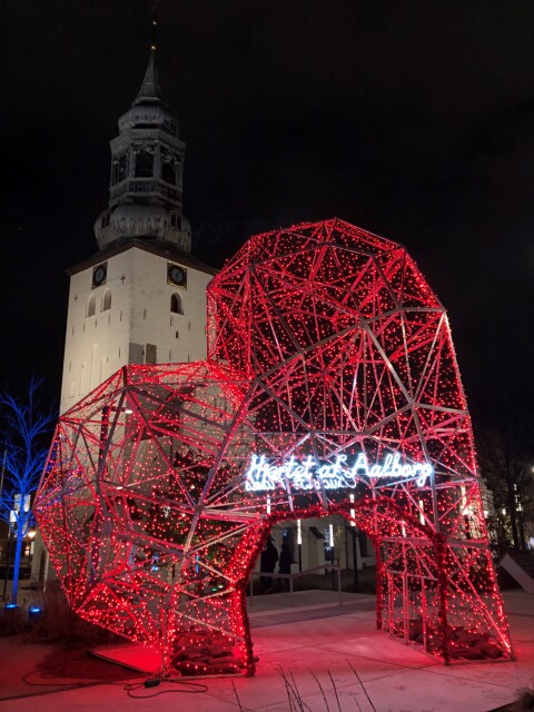 Aalborg Herz.jpg
